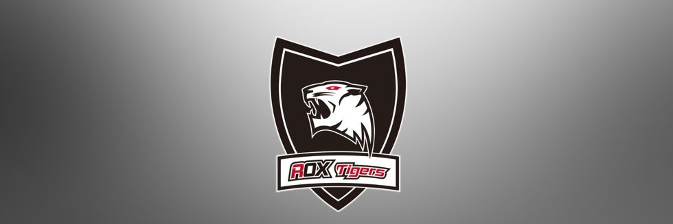 minacding's profile banner image