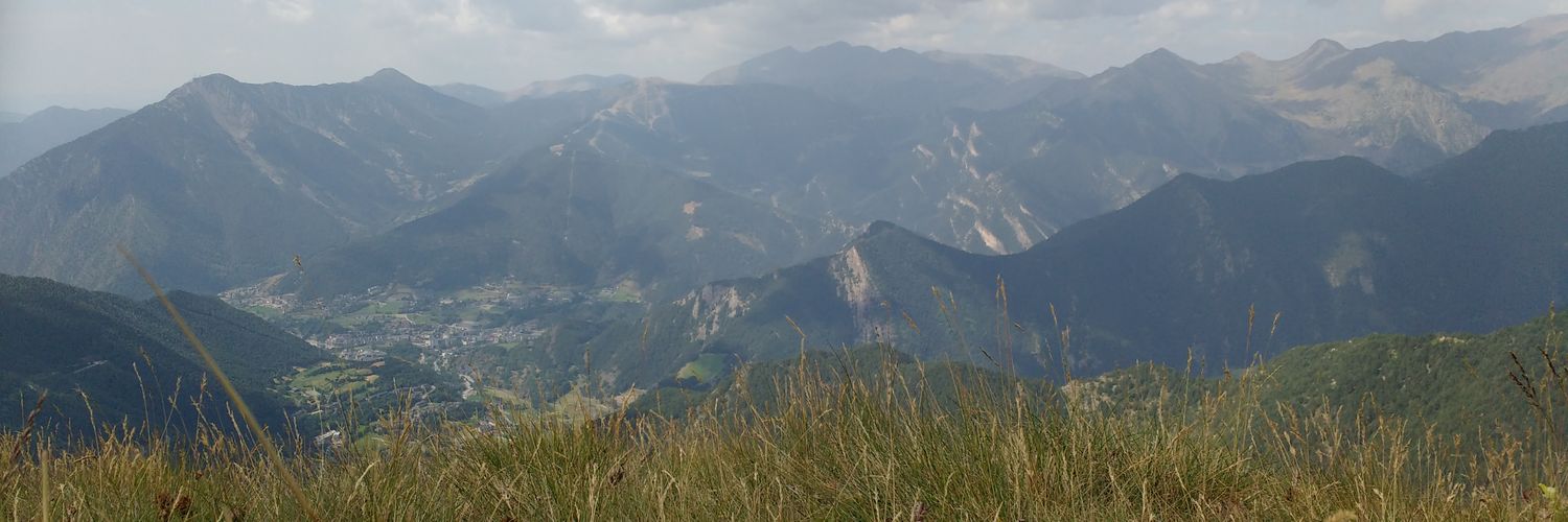 squeezemarket's profile banner image