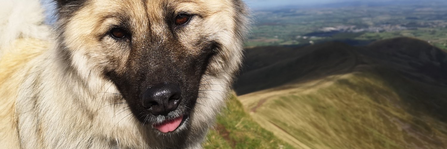 JoeFoxOne's profile banner image