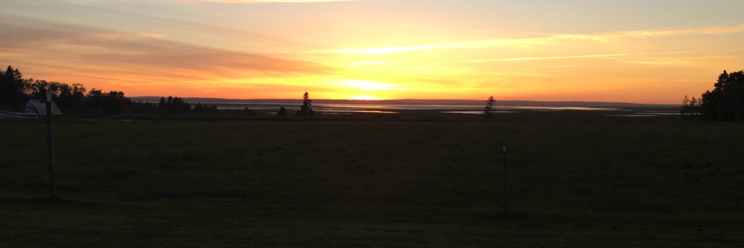 samcourtt's profile banner image