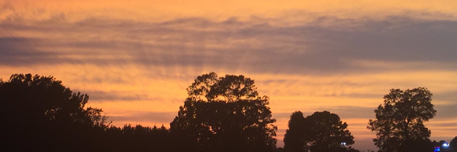 FaithEGebhardt's profile banner image