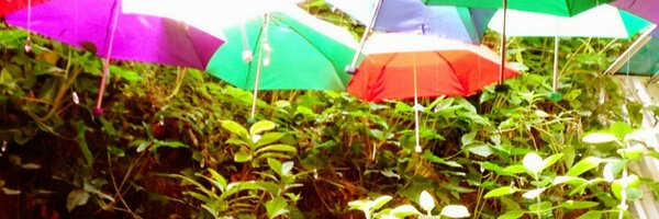 catalinacock Profile Banner