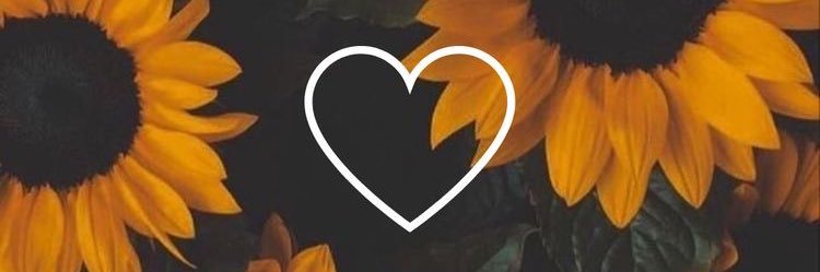 jibamxll's profile banner image