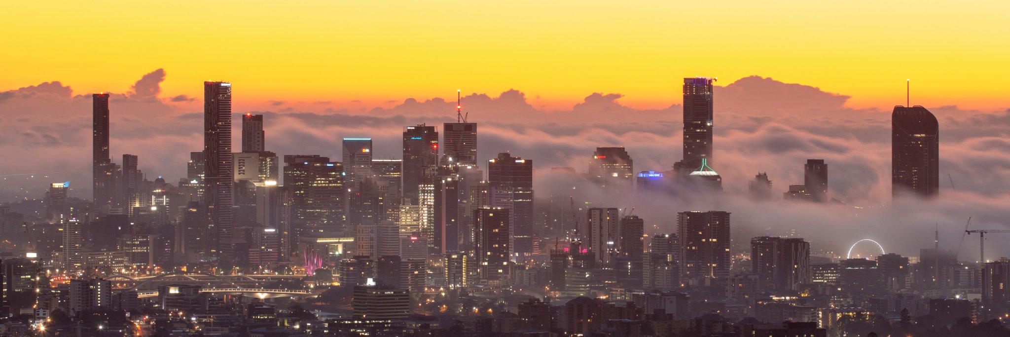 Michael Coombes banner