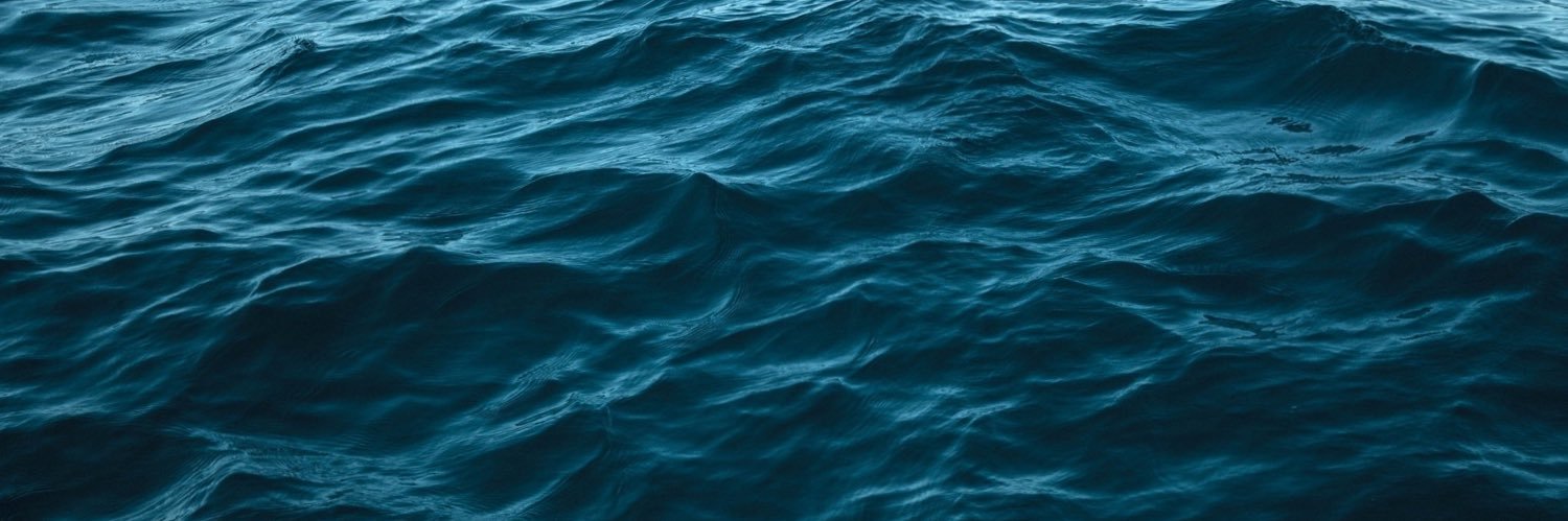 lizzy_lu13's profile banner image