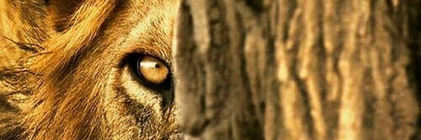 Jonessocold87's profile banner image