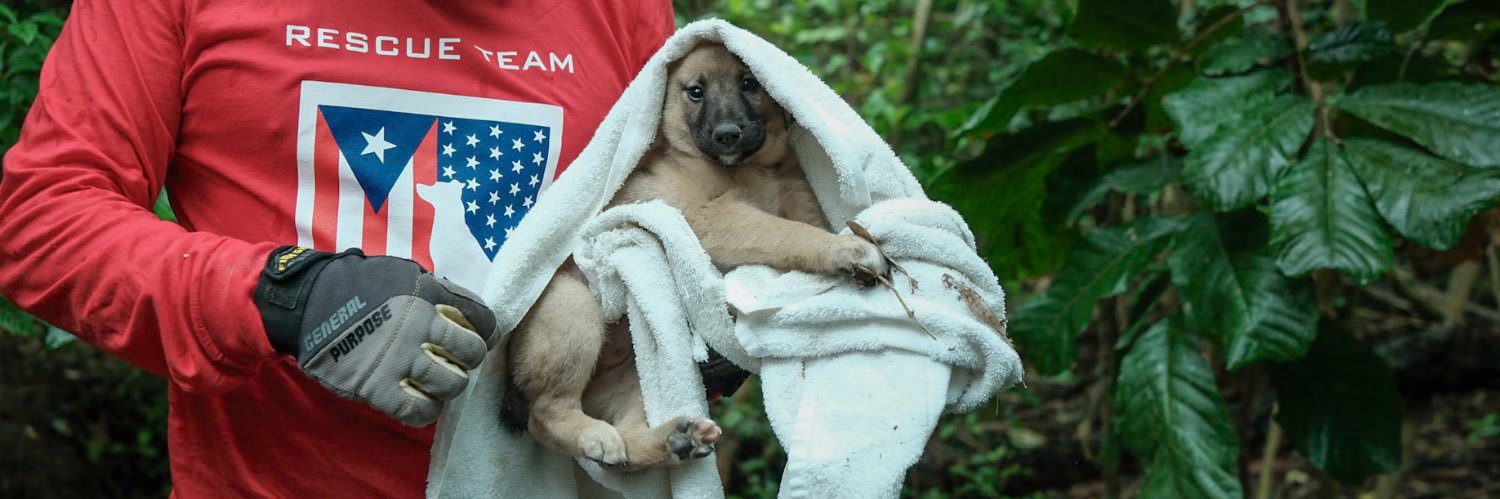 TheSatoProject banner