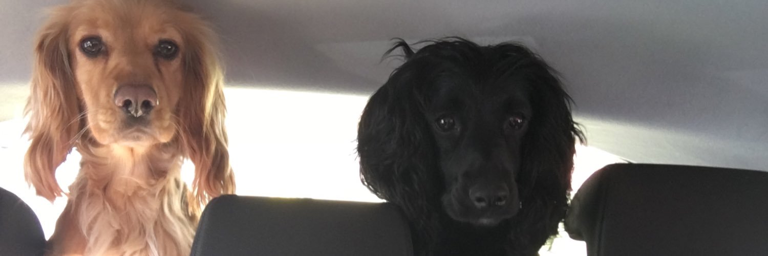 Emily_Dobson_'s profile banner image