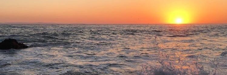 Merriamashraff's profile banner image
