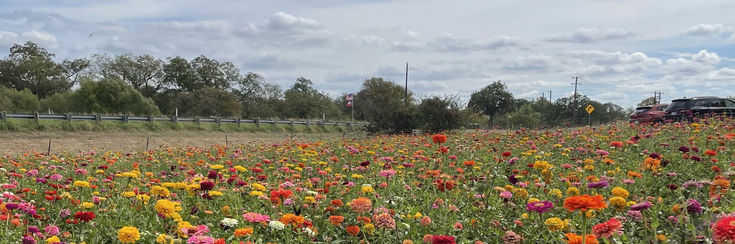 EveryLittleJoy's profile banner image