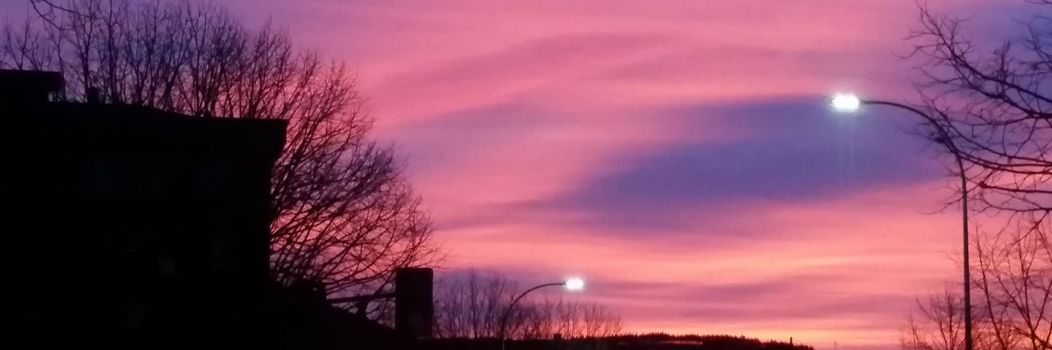 ainalanarg's profile banner image