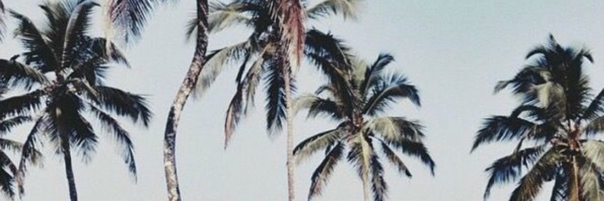 Jessitowler's profile banner image