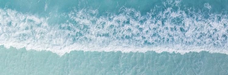 CaitlinPavisha's profile banner image