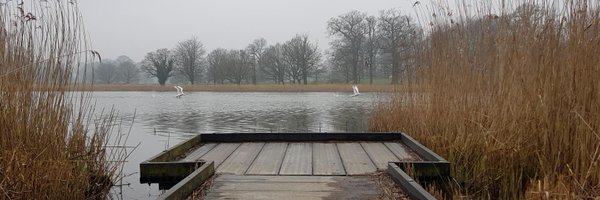 noisyjames Profile Banner