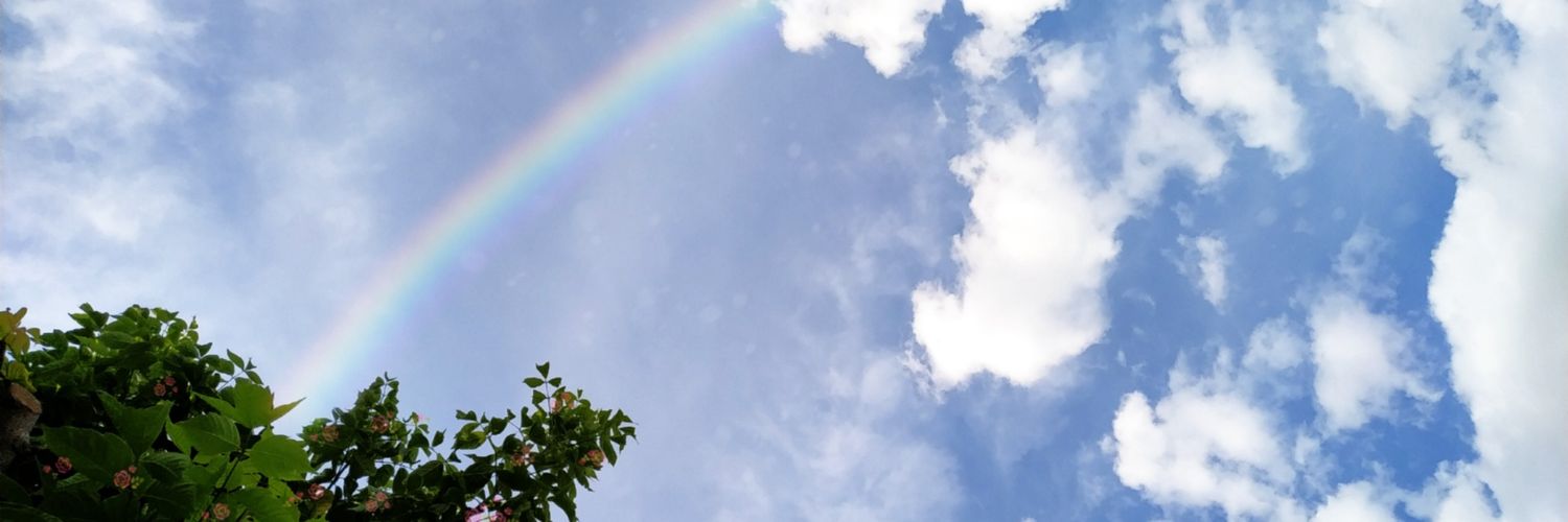 Plisi24's profile banner image