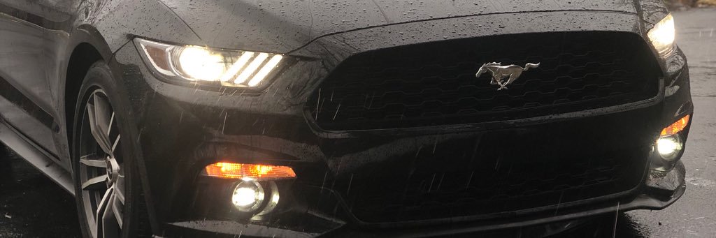 CaseyJFecht's profile banner image