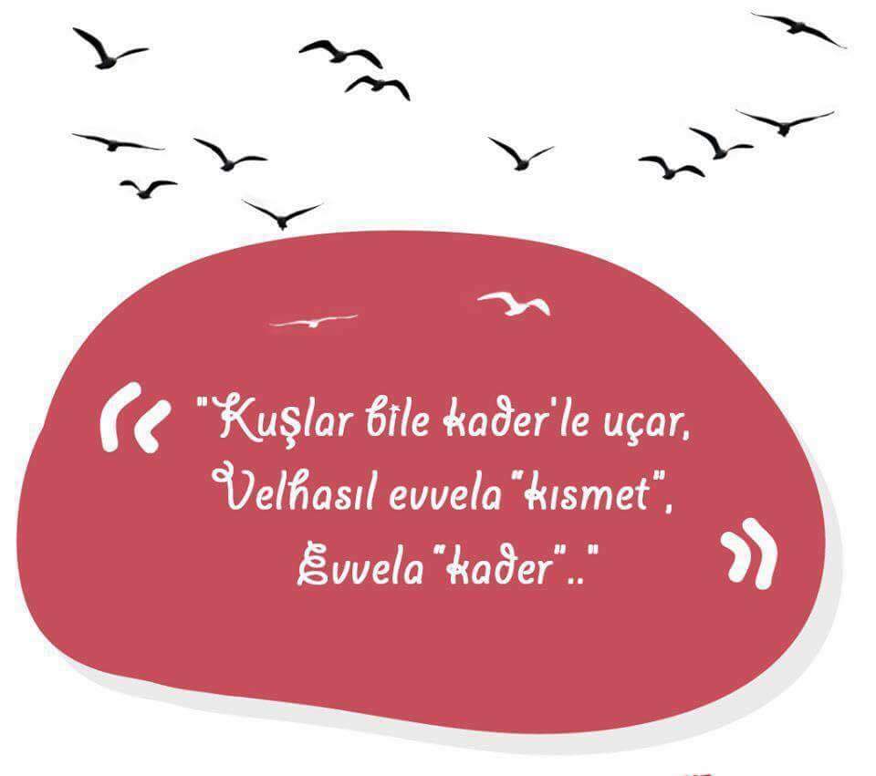 Adem_kar76's profile banner image