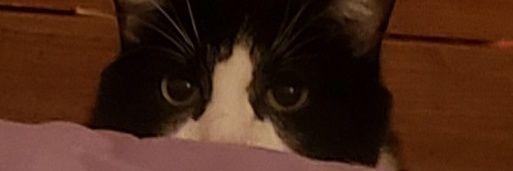 Smoars's profile banner image