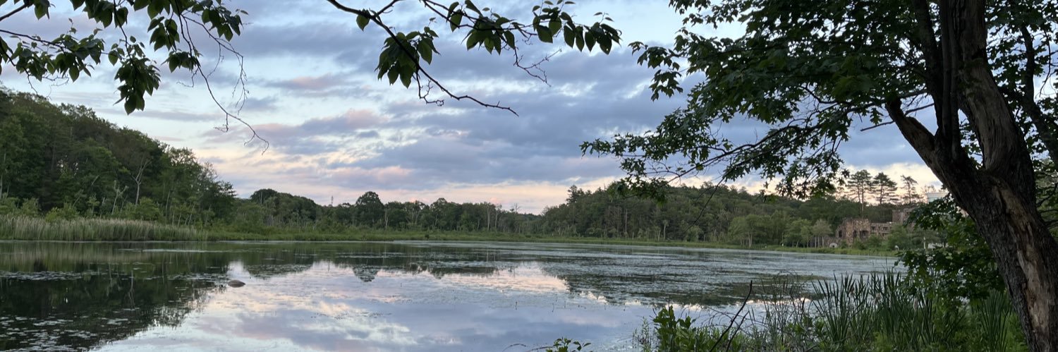Barbara McDade banner