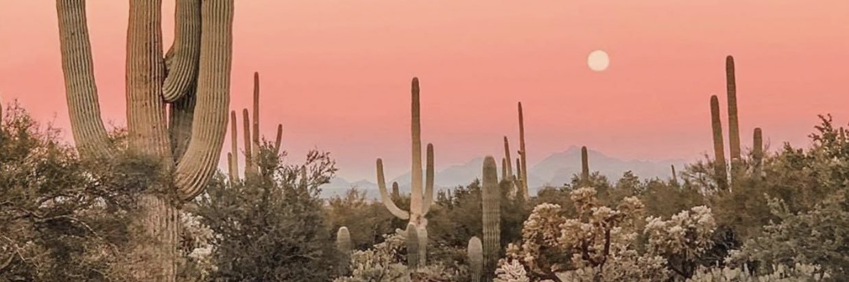 MeghanWhiteman's profile banner image