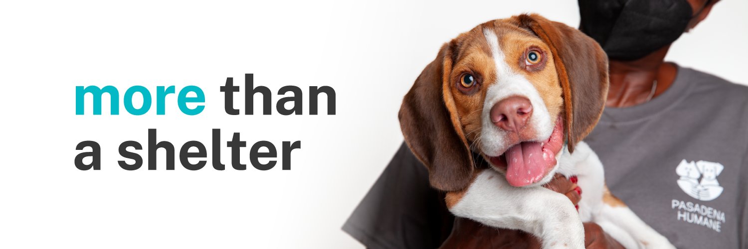 Pasadena Humane banner