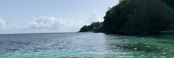cleosol Profile Banner