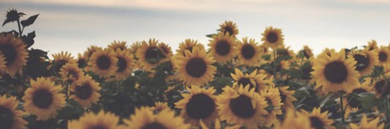 emilyeldridge2's profile banner image