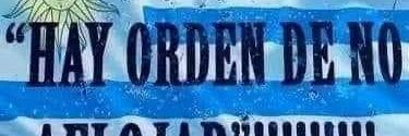 Maria Folle banner