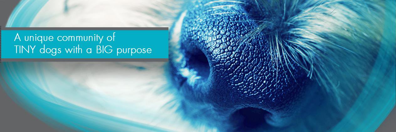 BNoses's profile banner image