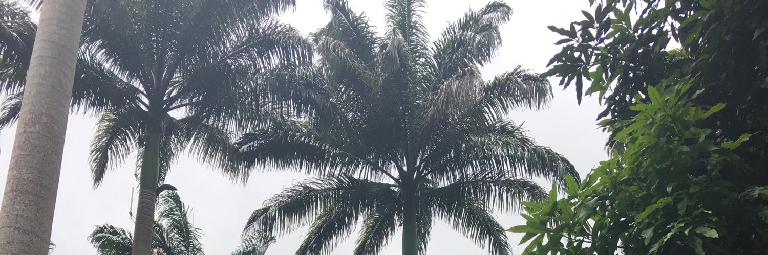 KizaChance's profile banner image