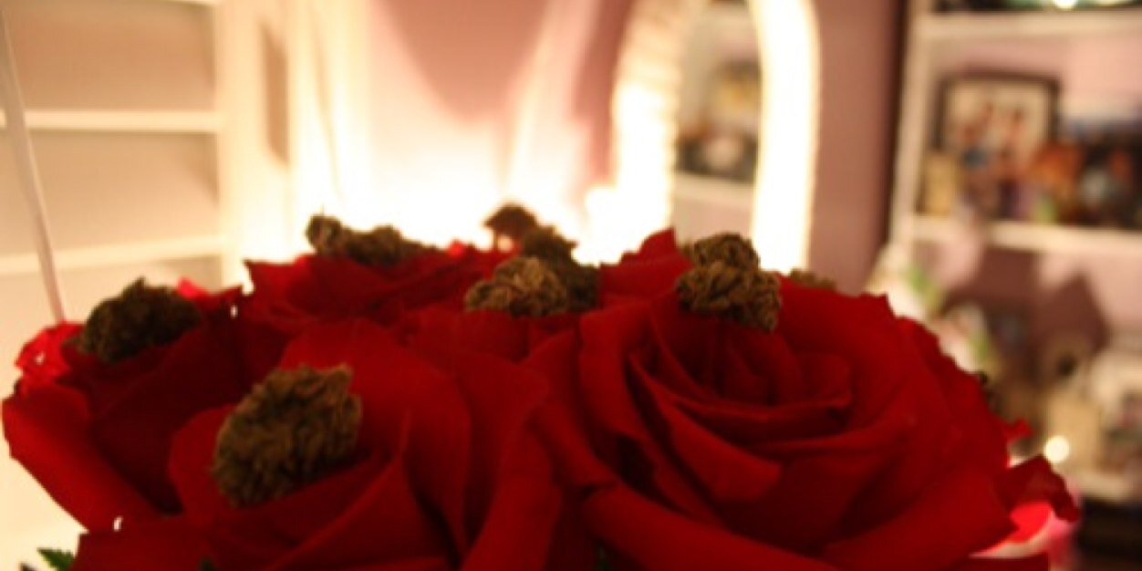 dee_cohen's profile banner image