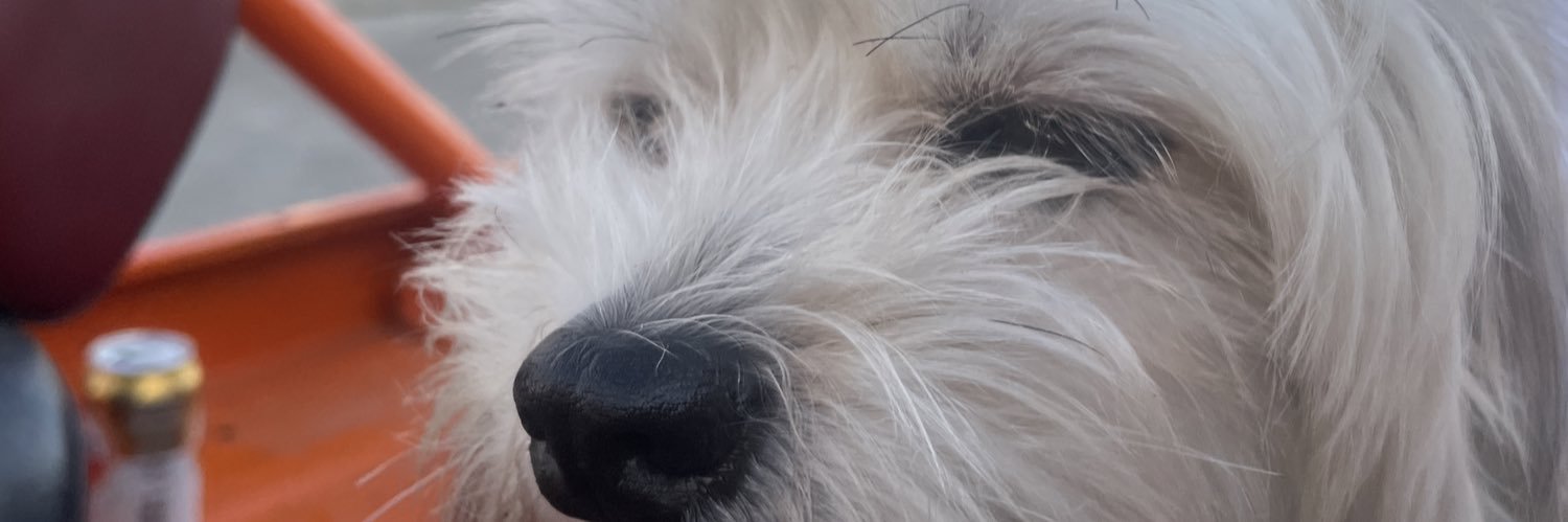 Ansogue2's profile banner image