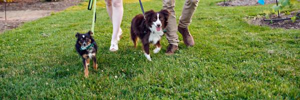 krexRAWR Profile Banner