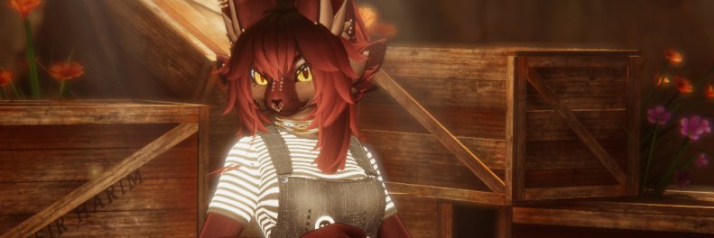 Pekkie ✦ banner