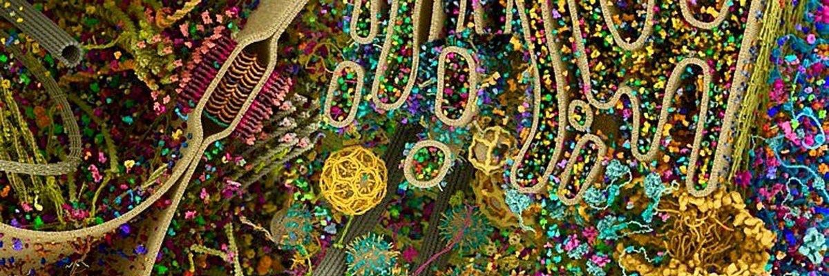 mpddj7's profile banner image