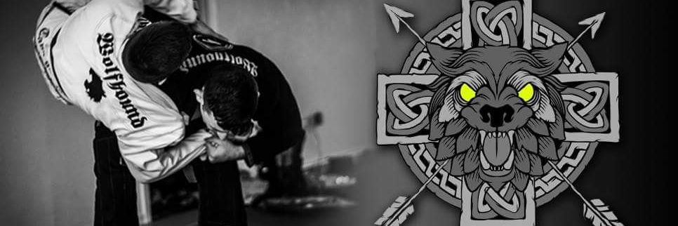 wolfhoundfight's profile banner image
