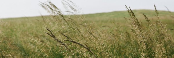 LakeFlato Profile Banner