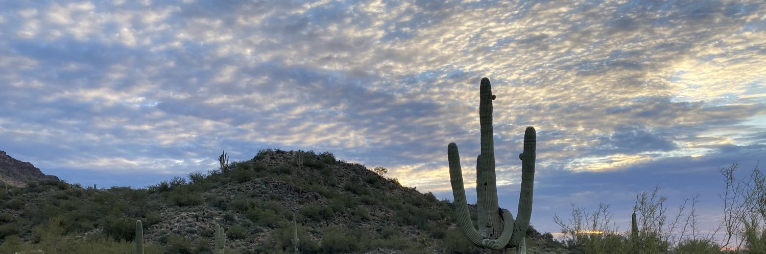trevortyoung's profile banner image