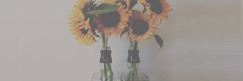 Suruh__'s profile banner image