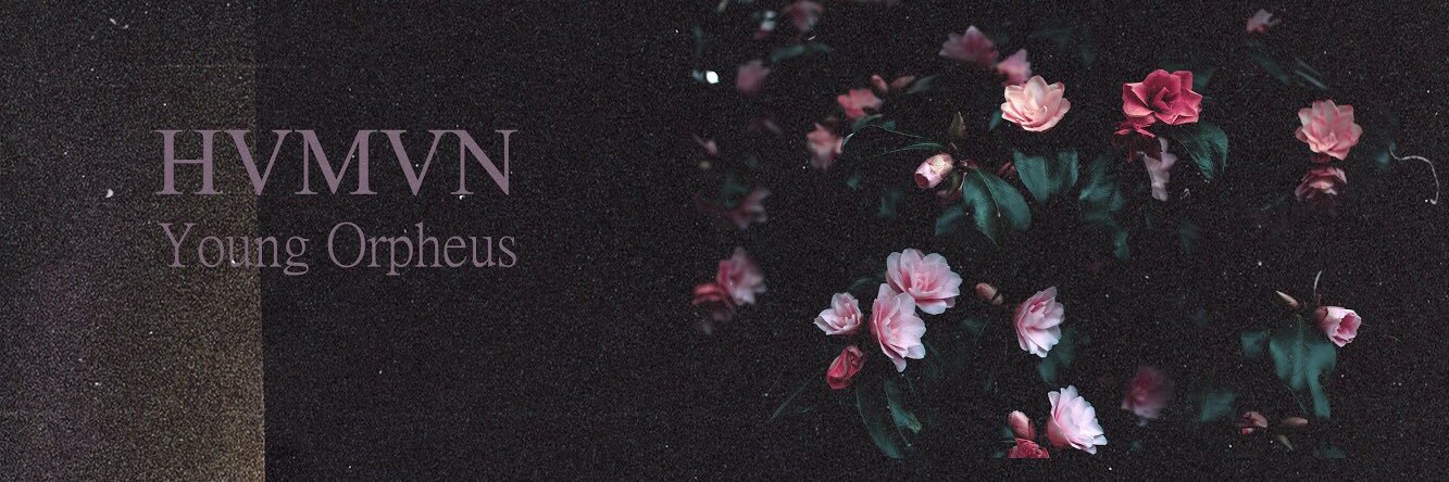 Young_Orpheus's profile banner image