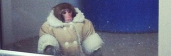 jaclynw_'s profile banner image
