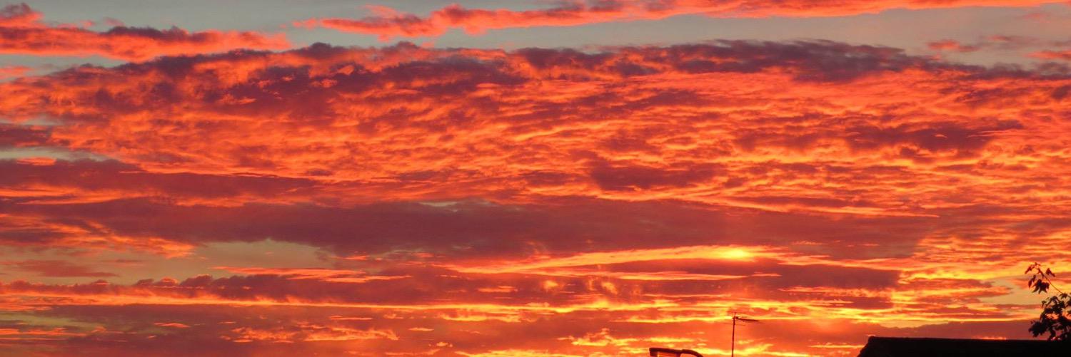 ChelleNicholl's profile banner image