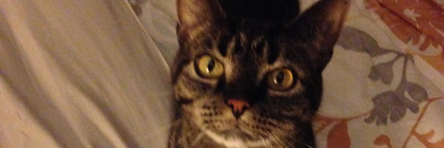 Marissa Sacro banner