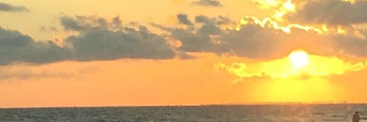 Dora Laura Antillon banner
