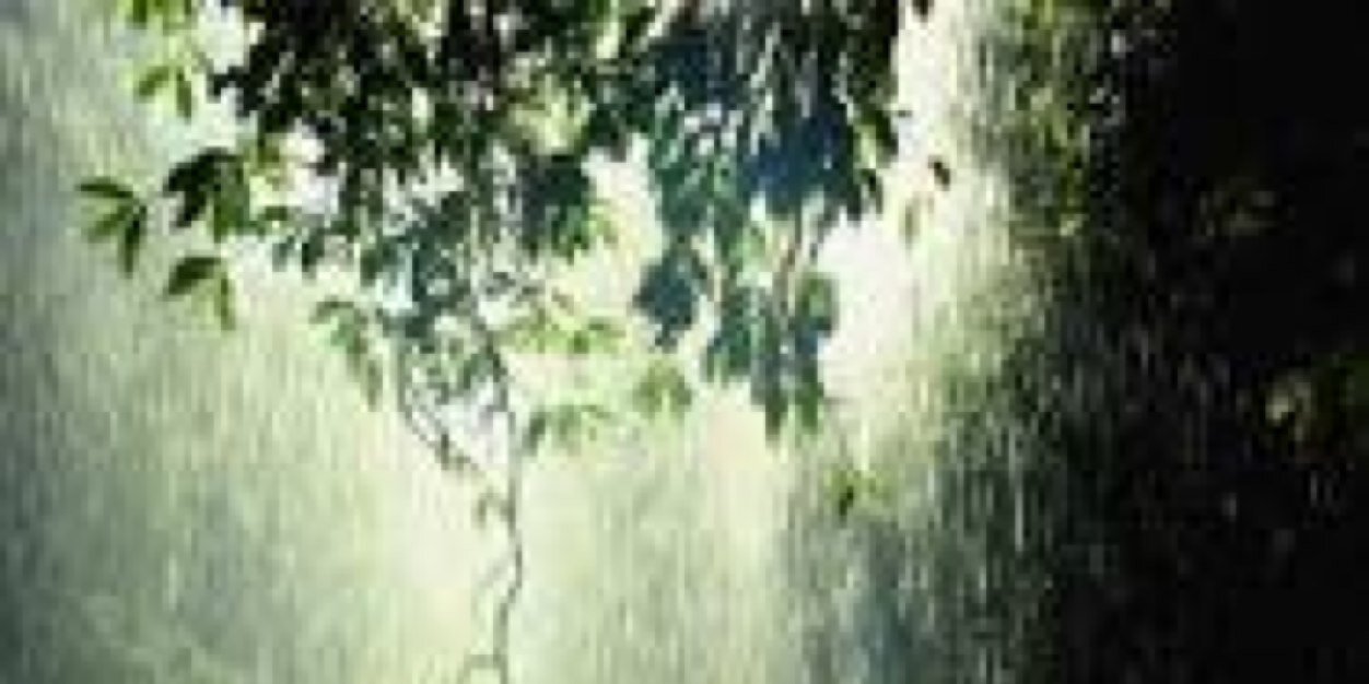 TaheraMuhammad_'s profile banner image