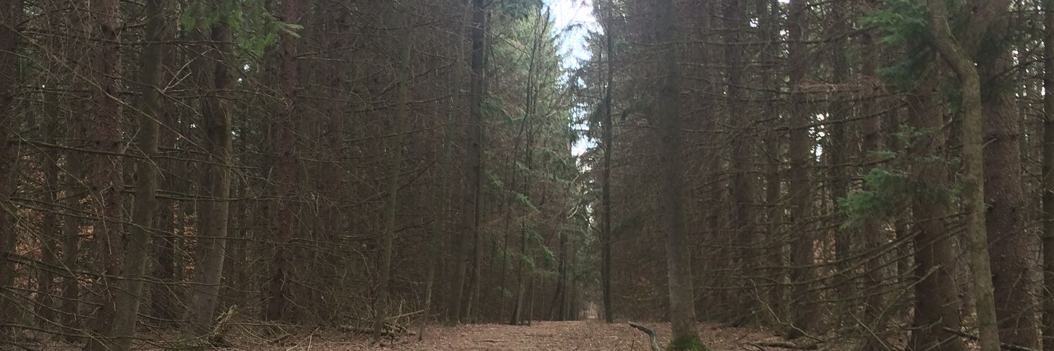 cknoch22's profile banner image