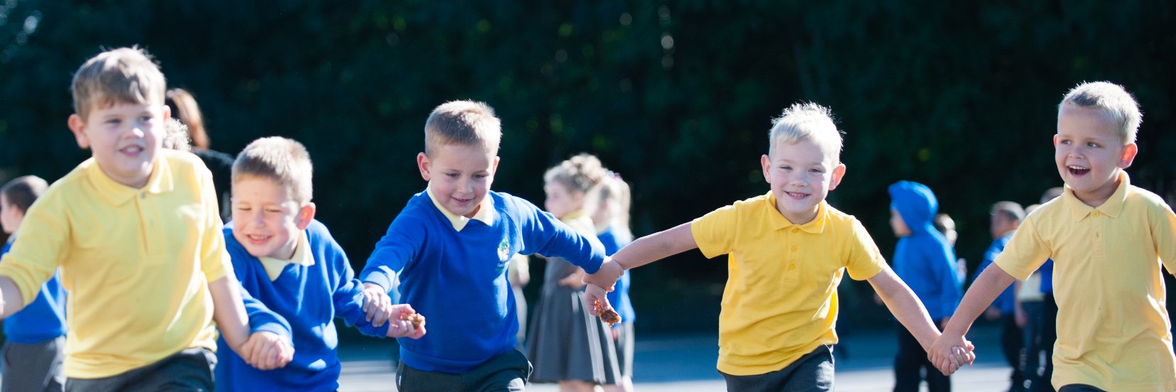 Field View Primary banner