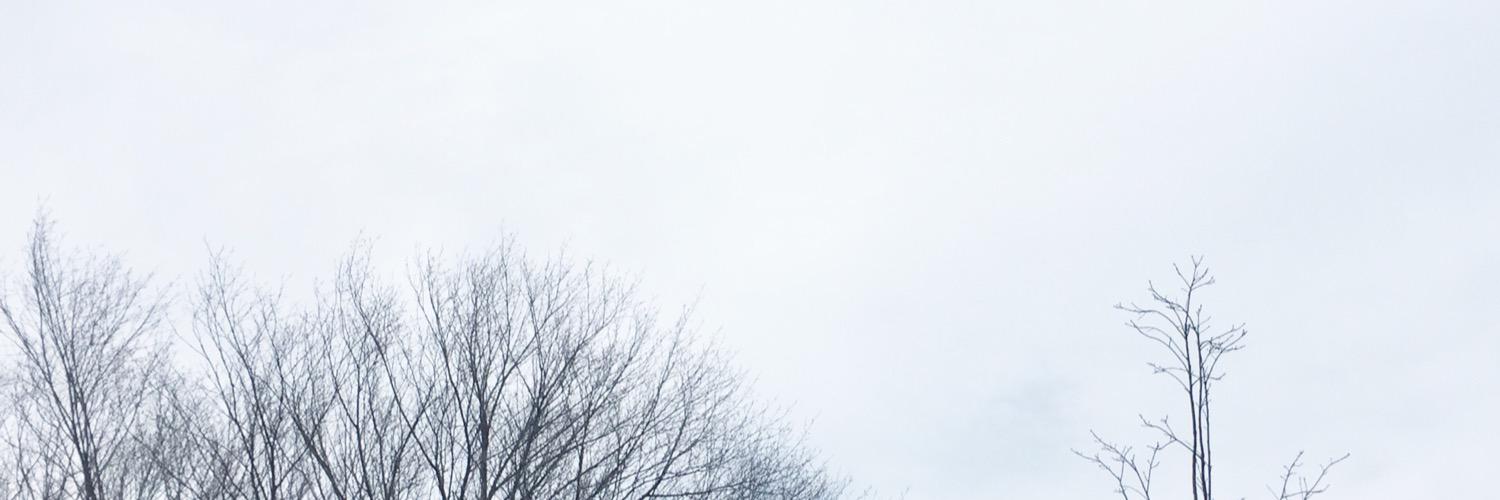itsroobz's profile banner image