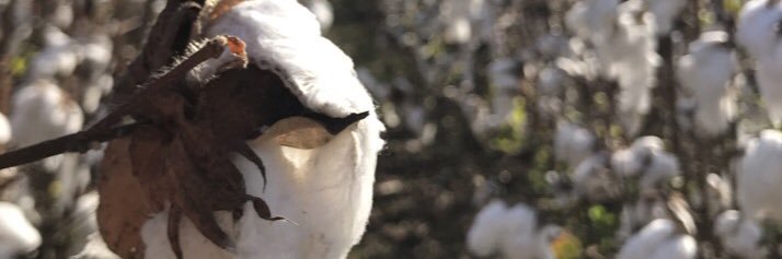 Colt_lee's profile banner image