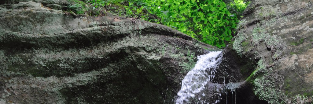 tcjs_'s profile banner image